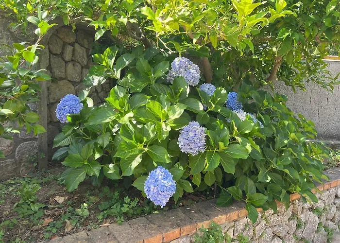 La Pica Marina Anacapri (Isola di Capri)