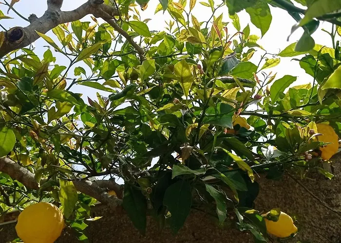 La Pica Marina Anacapri (Isola di Capri)