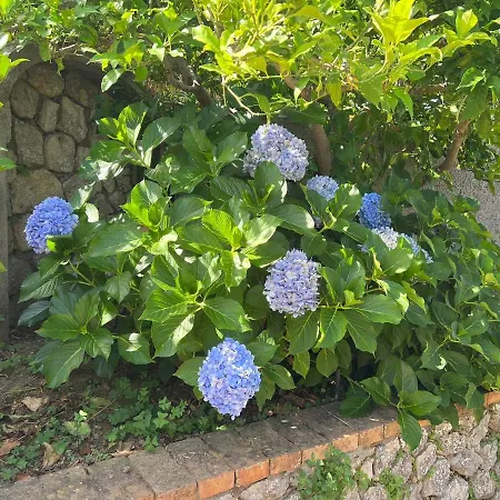 La Pica Marina Anacapri (Isola di Capri)